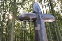 LL13_Waldfriedhof48_0184.JPG
