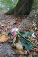 LL13_Waldfriedhof55_0109.JPG