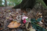 LL13_Waldfriedhof56_0114.JPG