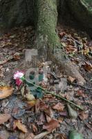 LL13_Waldfriedhof61_0135.JPG