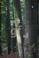 LL13_Waldfriedhof66_0154.JPG