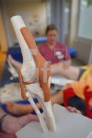 LL20_Knie04_0104.JPG