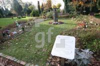 LL29_Fruehgebutenfriedhof02_0194.JPG