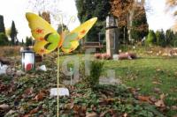 LL29_Fruehgebutenfriedhof13_0171.JPG