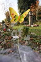 LL29_Fruehgebutenfriedhof14_0173.JPG