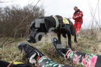 MF05_Hund_0176.JPG