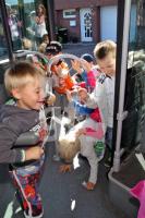 OK06_Bus03_0178.JPG