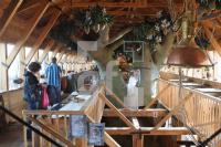 OK24_Arche03_0174.jpg