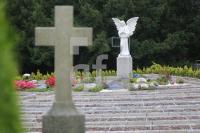 RJ04_Fr07_0164.JPG