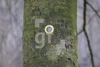 SD12_Rf10_0172.JPG