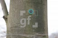 SD12_Rf22_0126.JPG