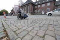 VL15_Bf20_0150.JPG
