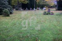 WL28_Fh23_0106.JPG