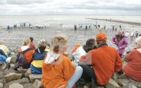 FI10_Wattoluempiade04_0767.jpg