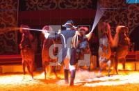 FJ03_Zirkus8_0187.JPG