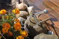 FK23_Garten04_0190.jpg