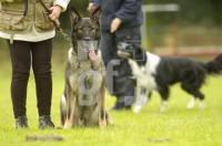 FK25_Hundeschule_0117.jpg