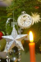 FN24_Weihnachten01_0122.jpg