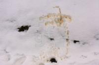 GE04_Schneepinkler_0186.jpg