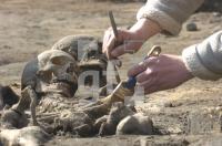 GE24_Archaeologie03_0105.jpg