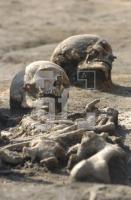 GE24_Archaeologie06_0180.jpg