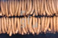 GG07_Wurst_0112.jpg