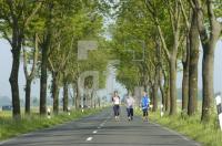 GG26_Allee02_0701.jpg