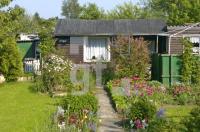 GG27_Gartenlaube_0162.jpg