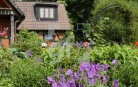 GH14_Garten2_0904.jpg