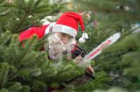 GN16_Weihnachten08_0192.jpg