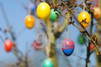 IE25_Ostern03_0179.jpg