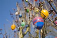 IE25_Ostern06_0185.jpg