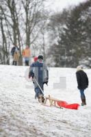 KC06_Kiel30_0134.JPG