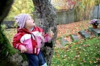 KL20_Herbst09_2049.JPG