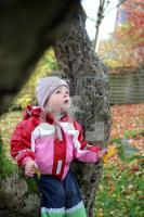 KL20_Herbst11_2069.JPG