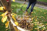 KL20_Herbst22_2085.JPG