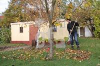 KL20_Herbst34_2082.JPG