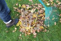KL20_Herbst38_2007.JPG