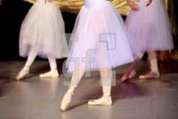 KM29_Ballett06_0111.JPG
