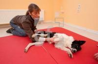 LE03_Hund_0737.jpg