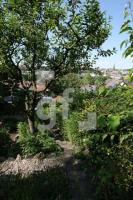 LI07_Garten02_0106.JPG