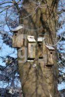 LM27_Vogel01_0188.JPG