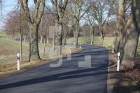 MD09_Allee01_0158.JPG