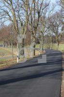 MD09_Allee02_0163.JPG