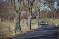 MD09_Allee04_0187.JPG