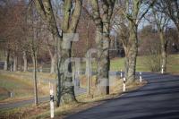 MD09_Allee05_0108.JPG