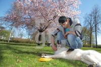 MF18_Hund03_8855.JPG