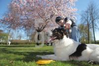 MF18_Hund04_8854.JPG
