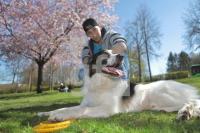 MF18_Hund05_8849.JPG