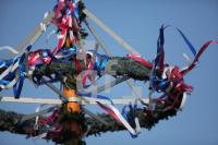 MG07_Maibaum05_0124.JPG
